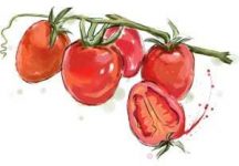 cherry-tomato-216x150